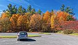 Autumn Parking Lot_24047